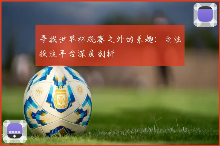 寻找世界杯观赛之外的乐趣：合法投注平台深度剖析
