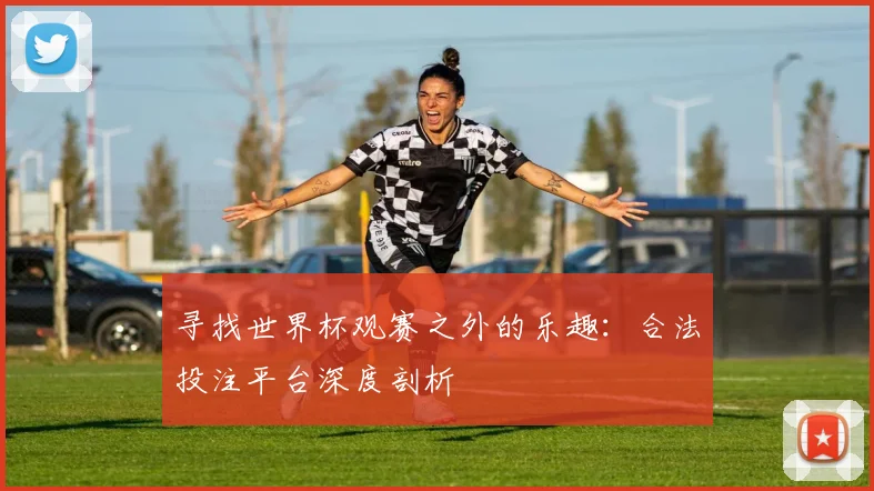 寻找世界杯观赛之外的乐趣：合法投注平台深度剖析